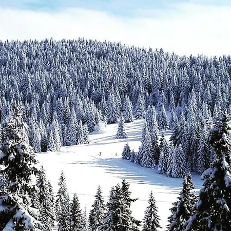Zlatibor Moon Bukorovac